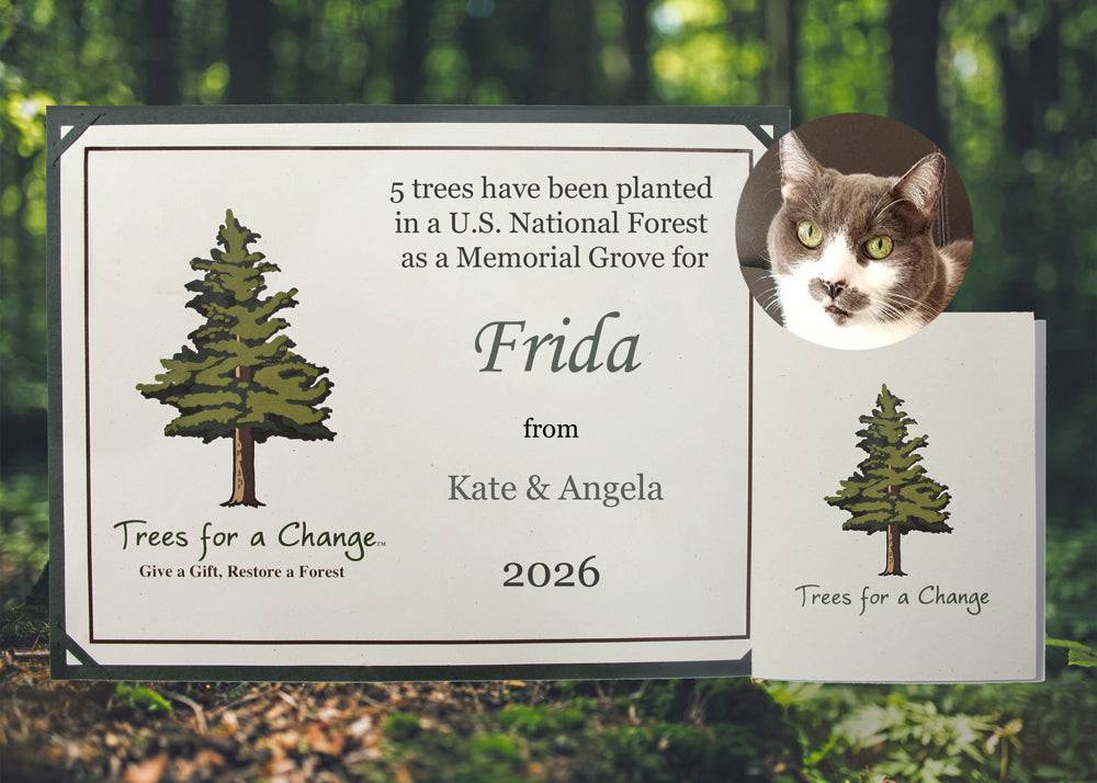 Pet Memorial Grove