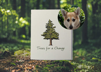 Vet & Pet Business Sympathy Cards
