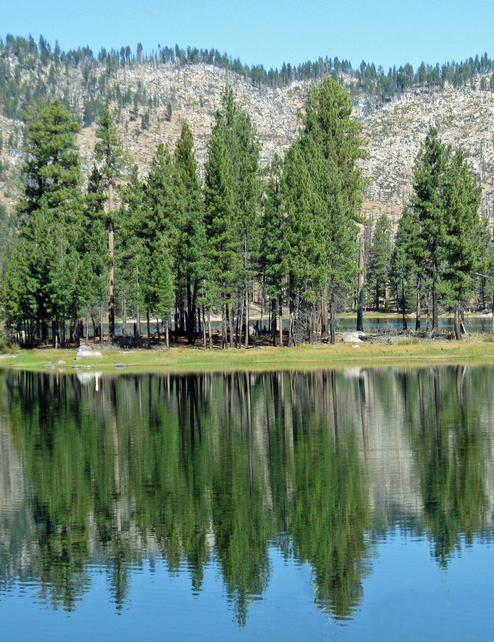 Plumas National Forest
