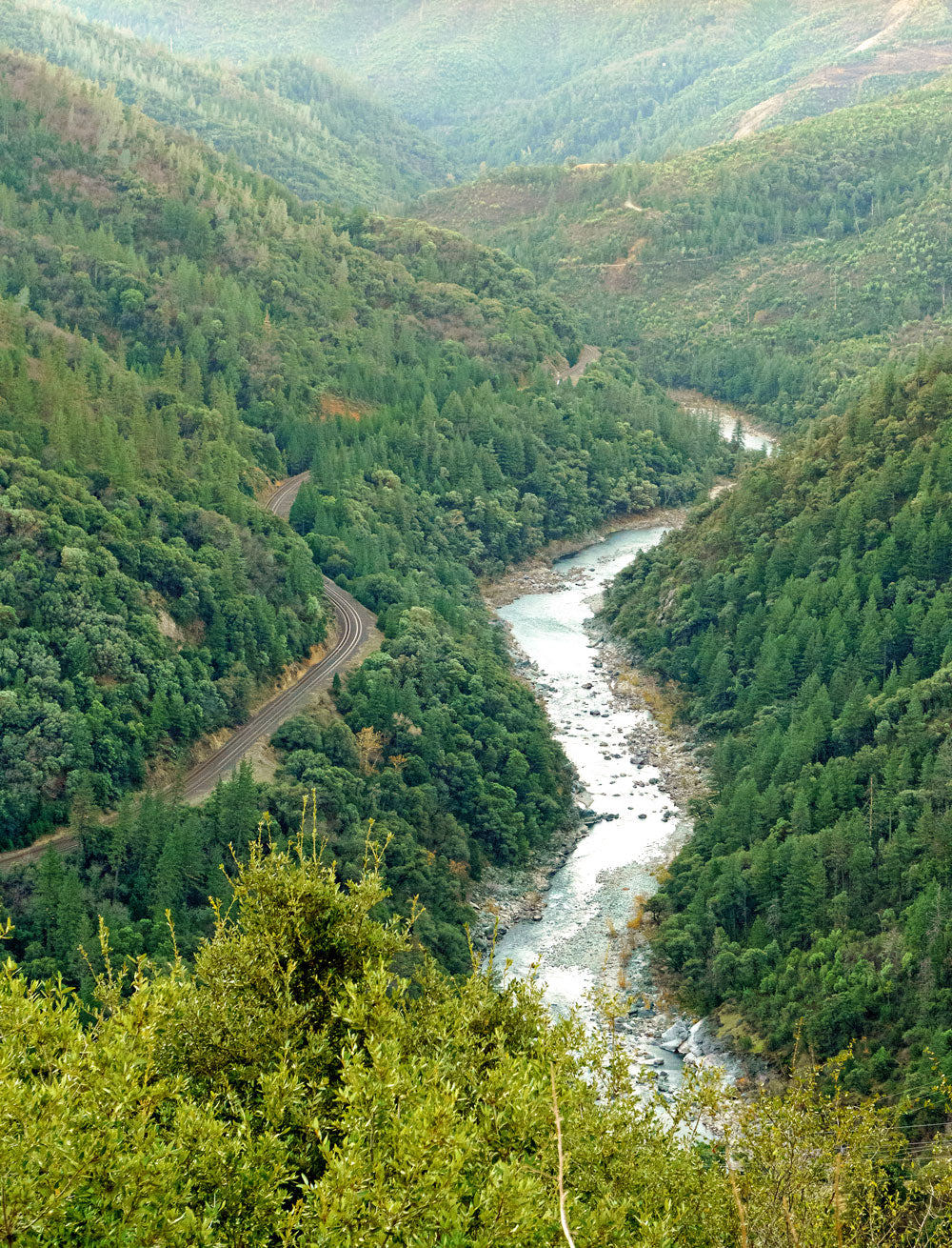 Plumas National Forest