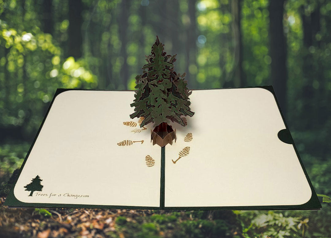 Pop-up Tree Gift Cards