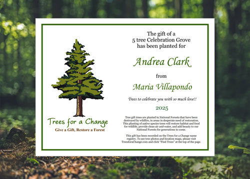 Printable Tree Gift Cards & Certificates