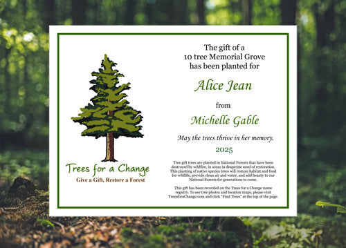 Memorial grove gift certificate with tree illustration and text in a forest setting