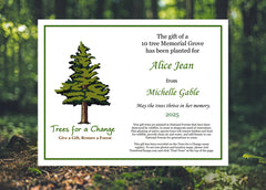 Memorial grove gift certificate with tree illustration and text in a forest setting