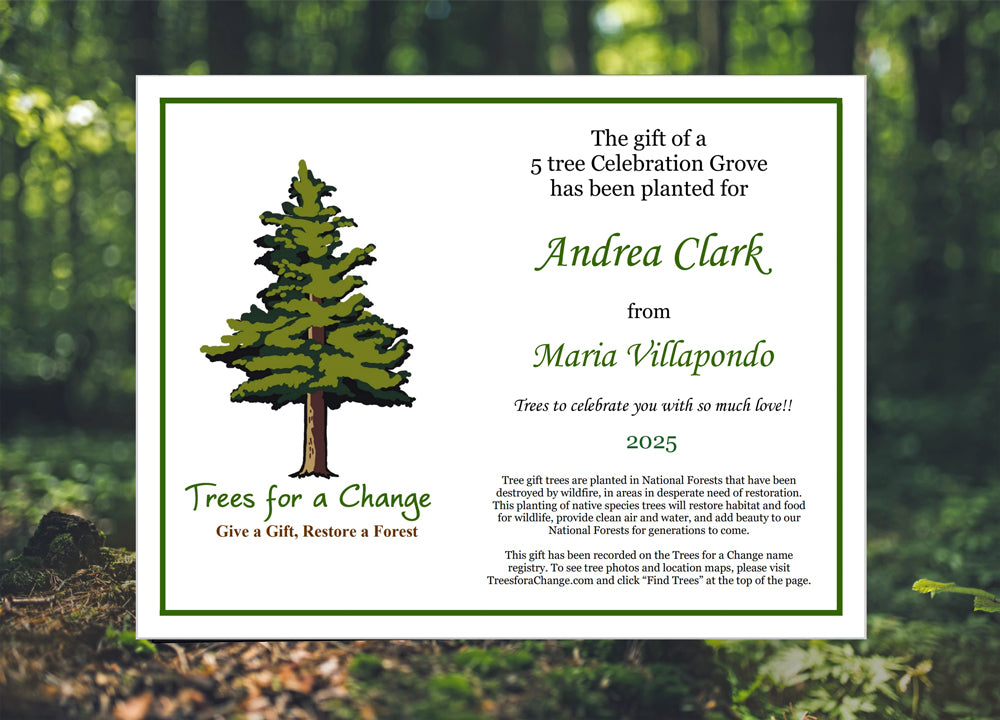 Printable Tree Cards & Certificates