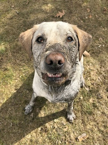 Rocco Farrell, My Biggest Chooch!