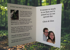 Wedding tree gift favor