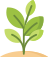 Native Species Planted