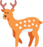 Local Wildlife