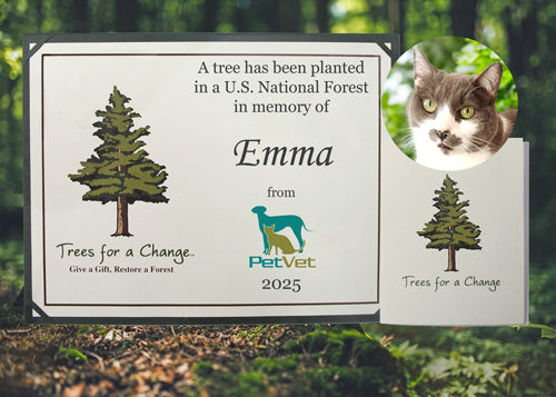 Vet & Pet Business Memorial Gifts