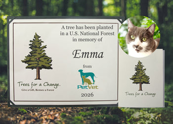 Vet & Pet Business Memorial Tree Gift