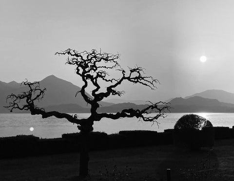 Eileen Spear- Winner Black & White