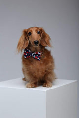 Cam - We love you and miss you so much