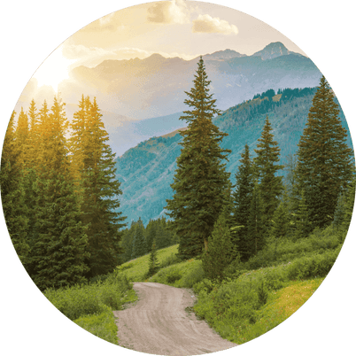 Forest is Restored with the help of memorial trees