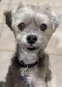 Winston Ivory, You were my rock, I will Love you forever