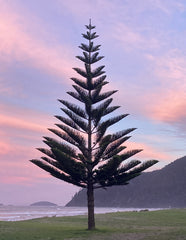 Eileen Spear- Most Unique Tree winner