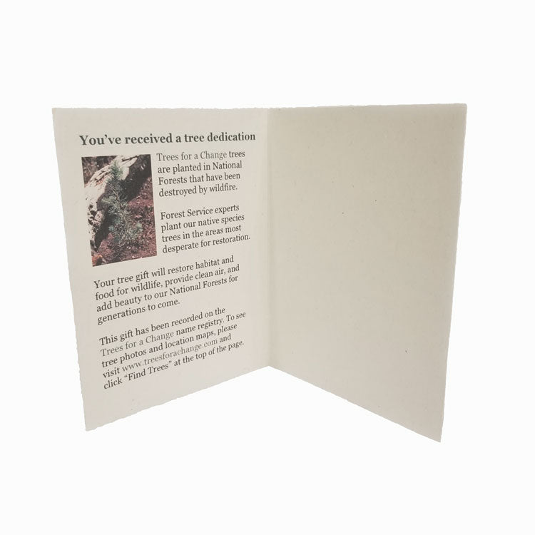 Inside of tree dedication card with gift explanation on left side and photo of seedling