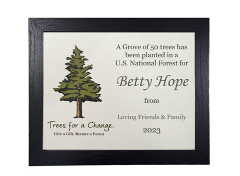 Welcome Baby Grove