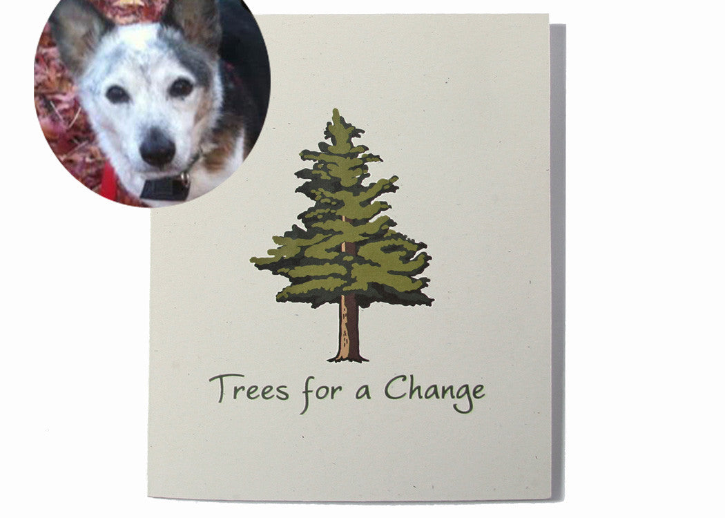 Pet Sympathy Card