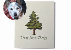 Vet & Pet Business Sympathy Cards Bulk