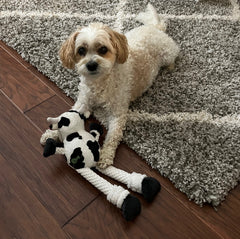 Maggie 