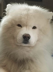 Koda Rawls