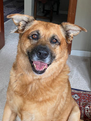 Suki