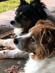 Lucy and Roxy