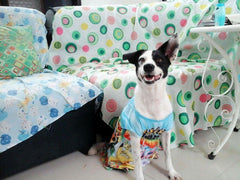 Miss Oreo Fore
