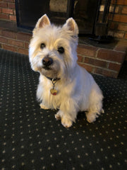 Duncan