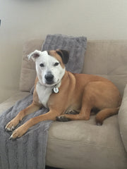 Roscoe Naranjo
