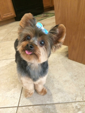 Gracie “Gray Gray”