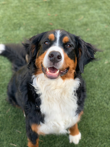 Rowena “Bear” “Bean”