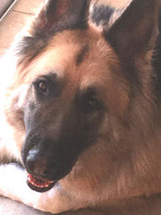 Lakota