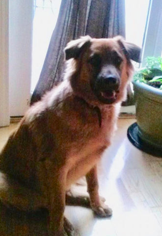 Max Moniello...free to run and explore...forever loved beautiful boy!