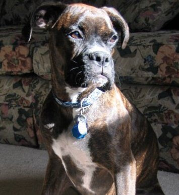 Lucy Tuttle    Our Precious Girl