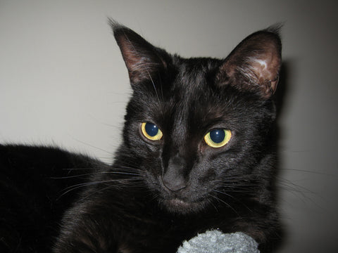 Spooky...So Much Joy & Laughter! Group Hugs Forever! We Will Love You Always...