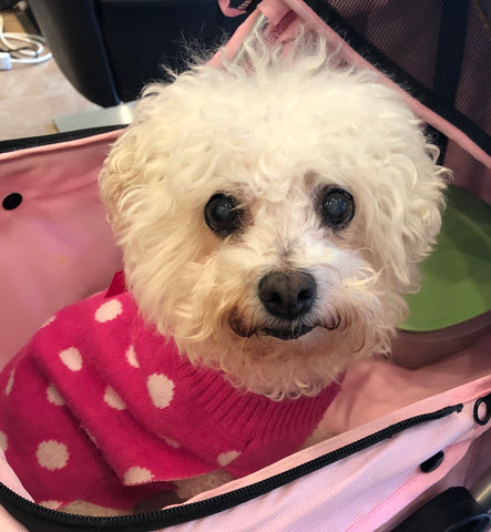 Po Song, Happiness to our family. We miss you and love you. 