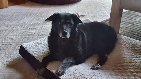 Taylor Davis - Forever in my heart and mind; I miss you every day!