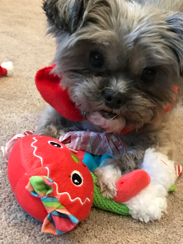 Zoe- You will live in our hearts forever sweet girl.