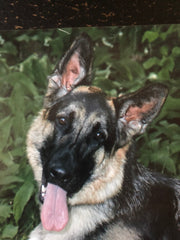Mya