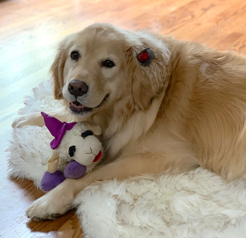 Gracie Watkins - You are greatly missed