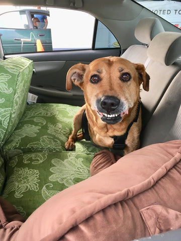 Cedric - You will always be in my heart and I can't wait to meet you again!!