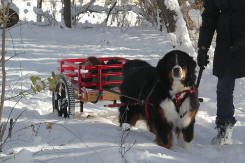 Lily Mitchell - August 2019