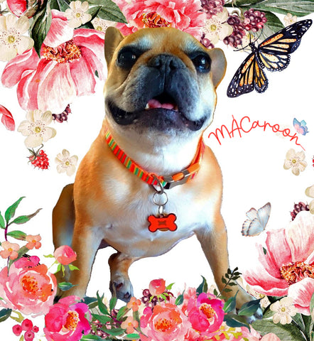 MACaroon - Our Love Never Dies...