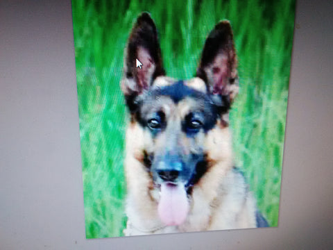 Grundy Parson. Miss you Lots!