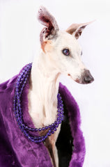 Betty Fisher Horton, you are loved forever! Luv Dat Mommy & sissies