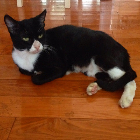 Jinx K- A missing part of our family who found ur way in. Keep bakin that bread!