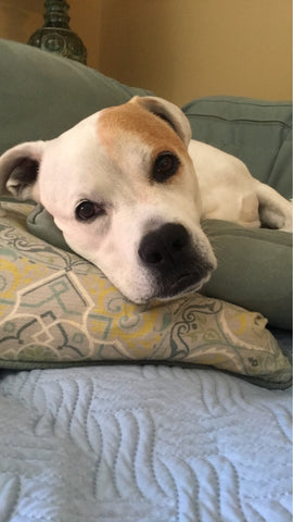 Maggie Hibberd our warrior princess...missing you always!