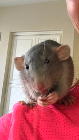 Moose Man.. Though So Tiny in size So HUGE in Love personality and Soul. Miss U 